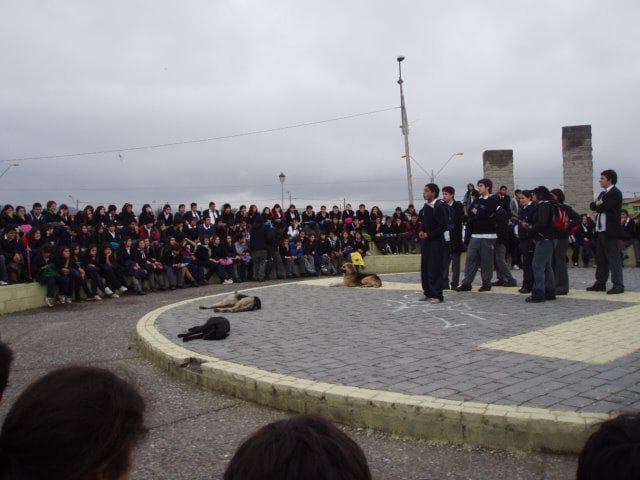 Material público 2006