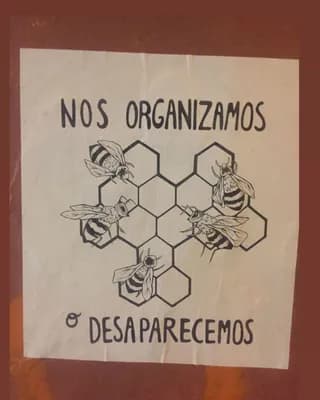 Instagram gritoscallejeros
