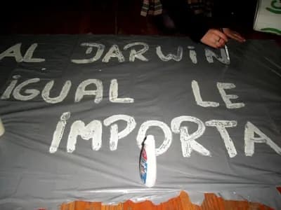 Material público 2006