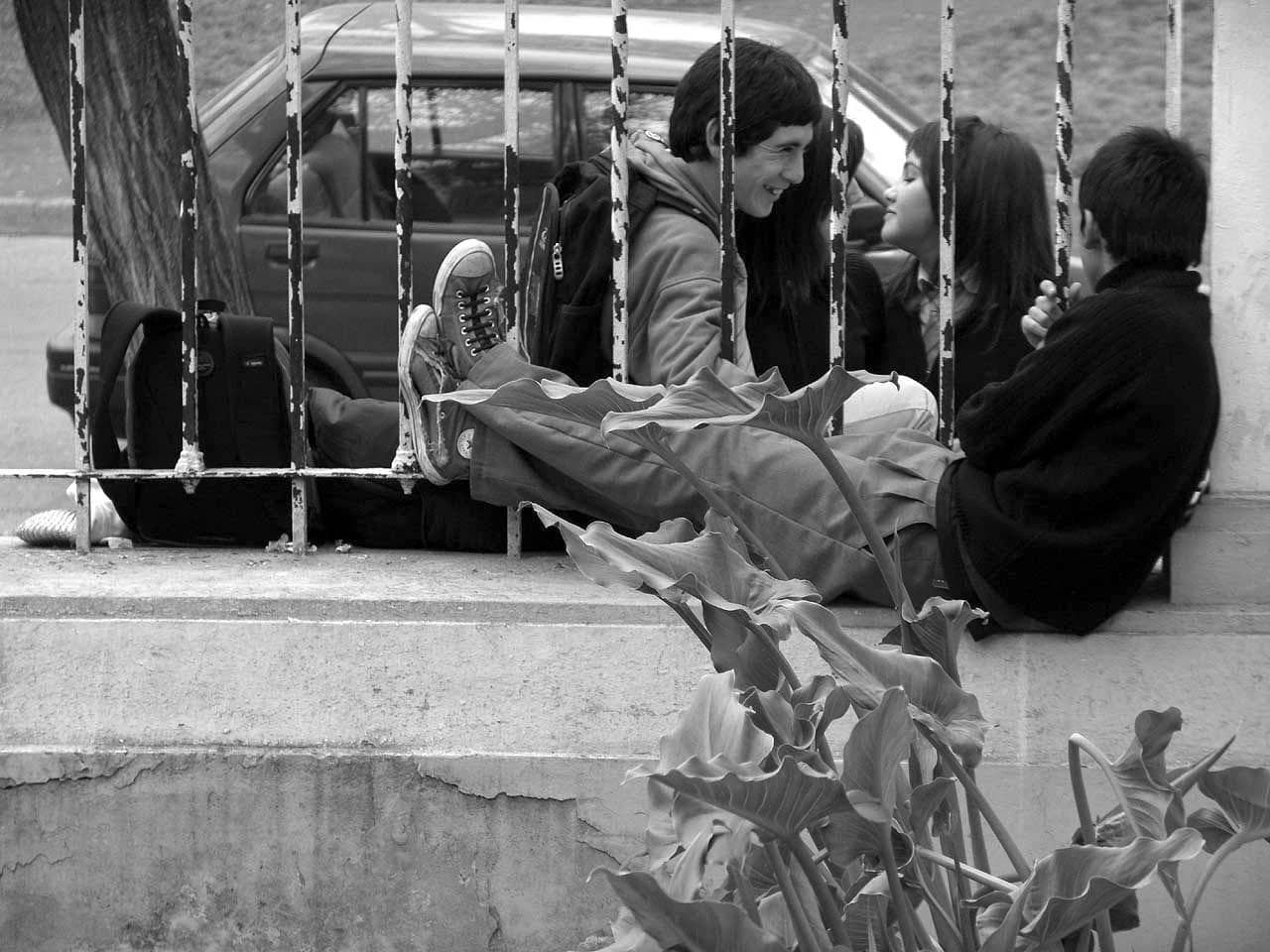 Material público 2006