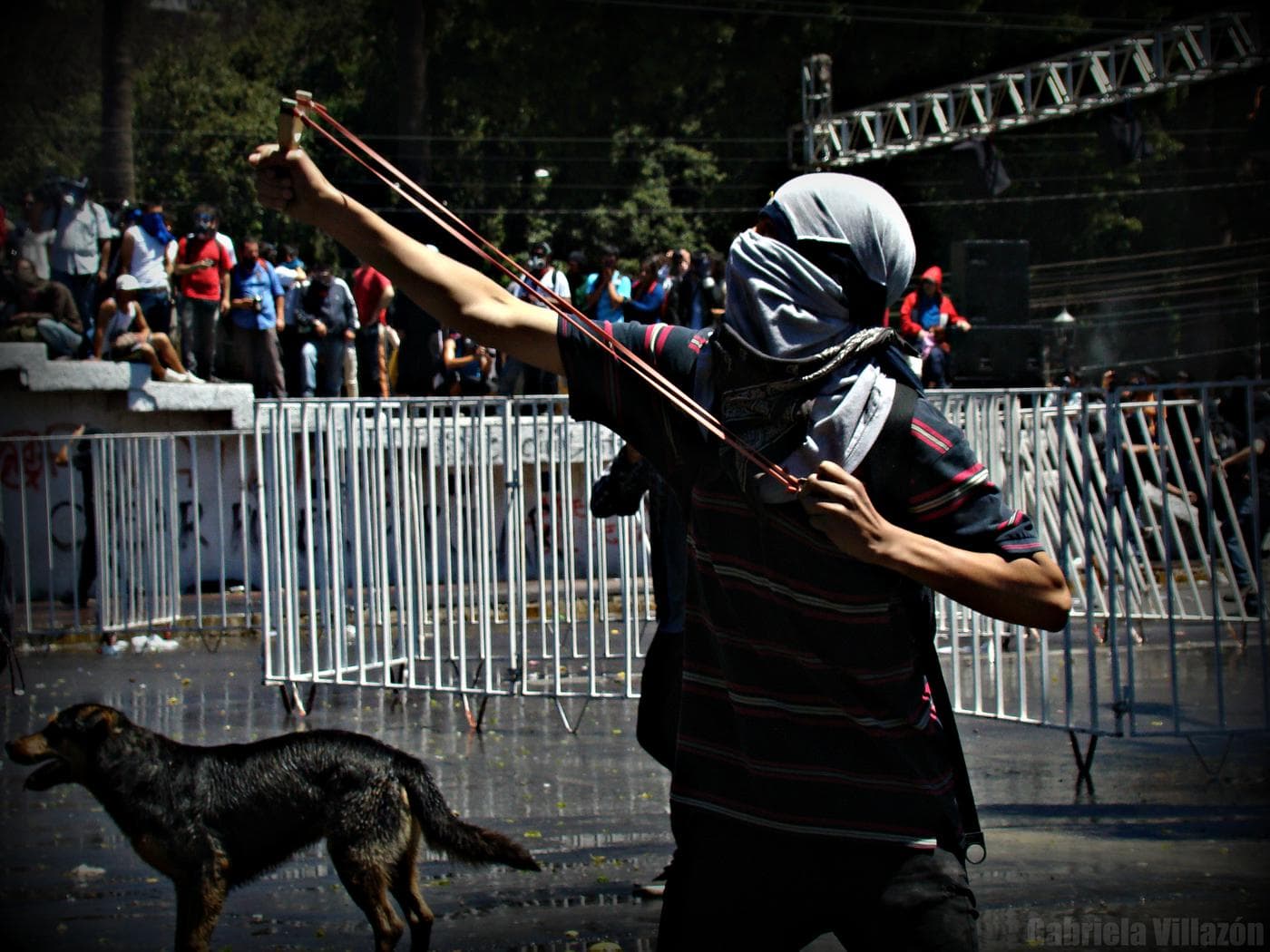Material público 2011
