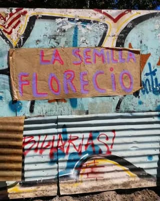 Instagram lalocarayada