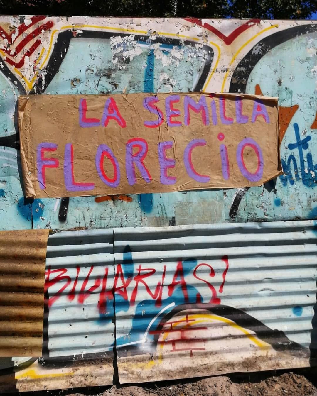 Instagram lalocarayada