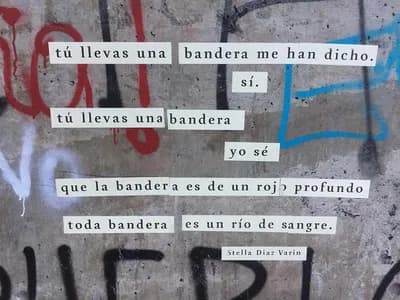 Instagram gritoscallejeros
